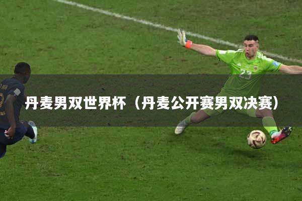 丹麦男双世界杯（丹麦公开赛男双决赛）