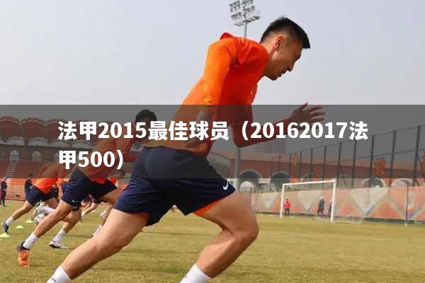 法甲2015最佳球员（20162017法甲500）