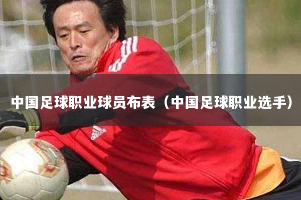 中国足球职业球员布表（中国足球职业选手）