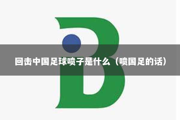 回击中国足球喷子是什么（喷国足的话）