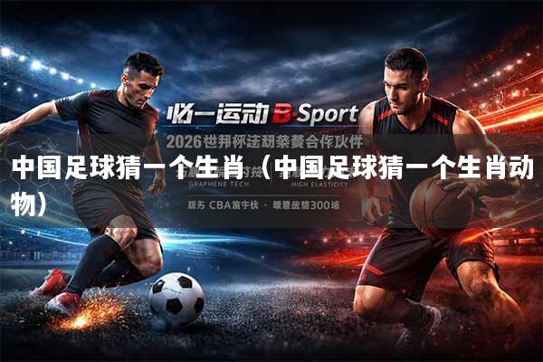 中国足球猜一个生肖（中国足球猜一个生肖动物）