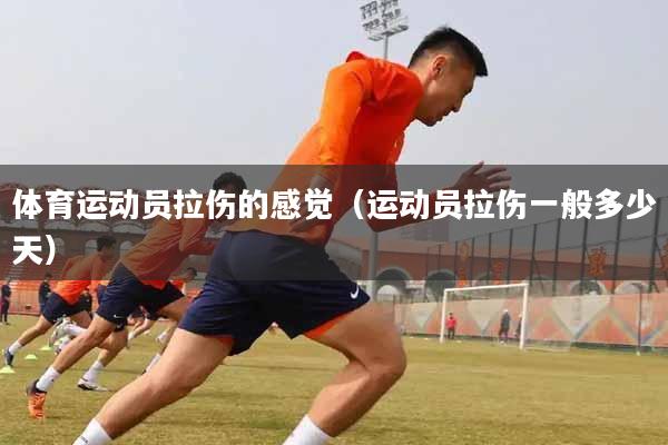 体育运动员拉伤的感觉（运动员拉伤一般多少天）