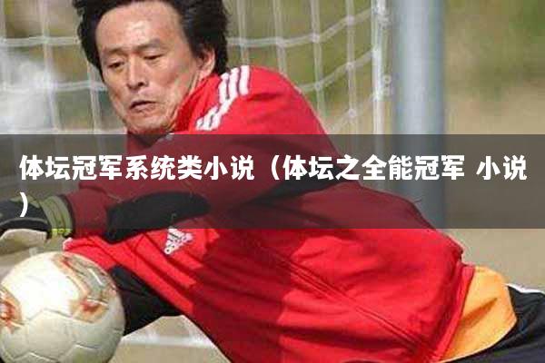 体坛冠军系统类小说（体坛之全能冠军 小说）