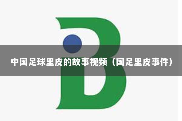 中国足球里皮的故事视频（国足里皮事件）