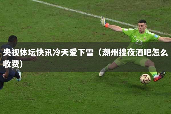 央视体坛快讯冷天爱下雪（潮州搜夜酒吧怎么收费）