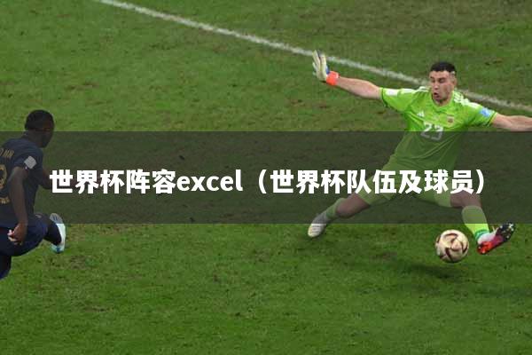 世界杯阵容excel（世界杯队伍及球员）