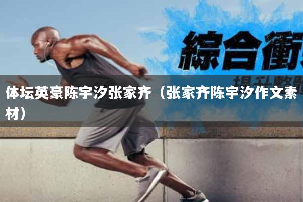 体坛英豪陈宇汐张家齐（张家齐陈宇汐作文素材）
