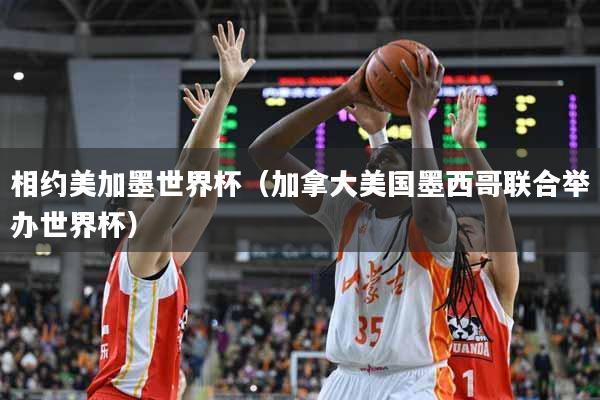 相约美加墨世界杯（加拿大美国墨西哥联合举办世界杯）