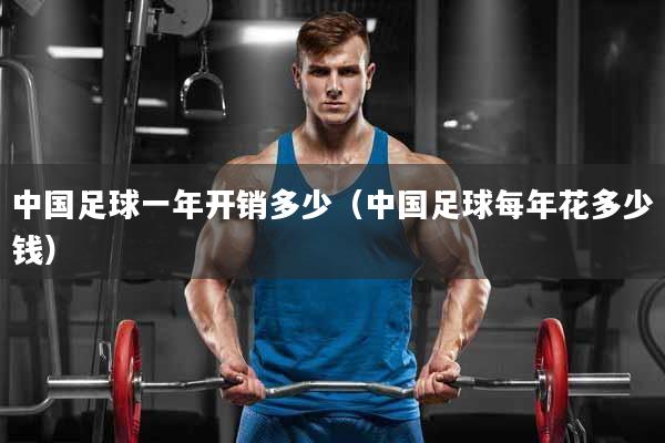 中国足球一年开销多少（中国足球每年花多少钱）