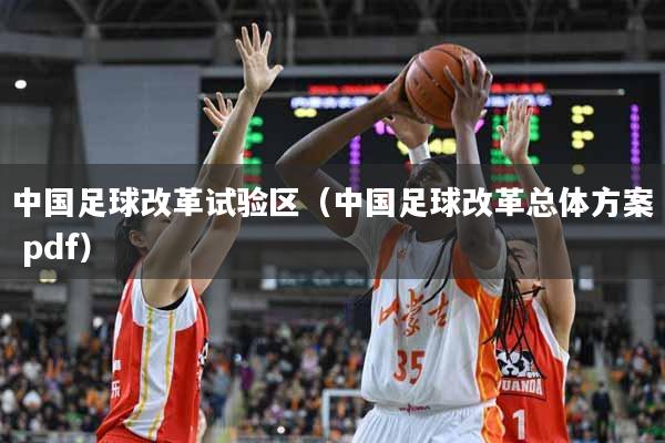 中国足球改革试验区（中国足球改革总体方案 pdf）