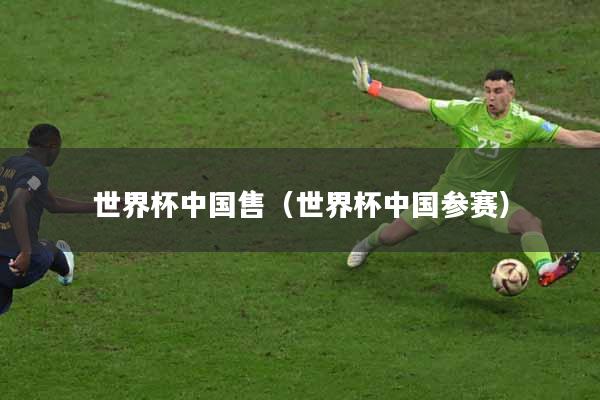 世界杯中国售（世界杯中国参赛）
