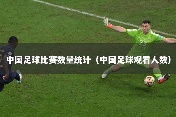 中国足球比赛数量统计（中国足球观看人数）