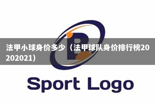 法甲小球身价多少（法甲球队身价排行榜20202021）
