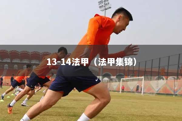 13-14法甲（法甲集锦）